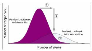 Pandemic Outbreak Graph
