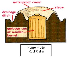 Root Cellar